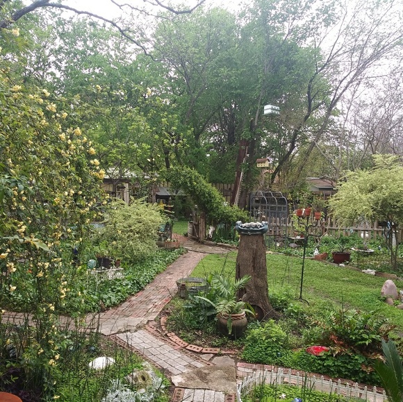 Meet your Posher, Amber - Picture 1 of 1